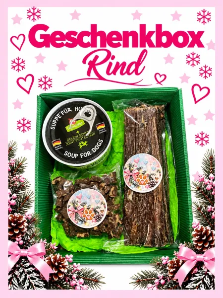 Nikolausbox bzw. weihnachtliche Geschenkbox